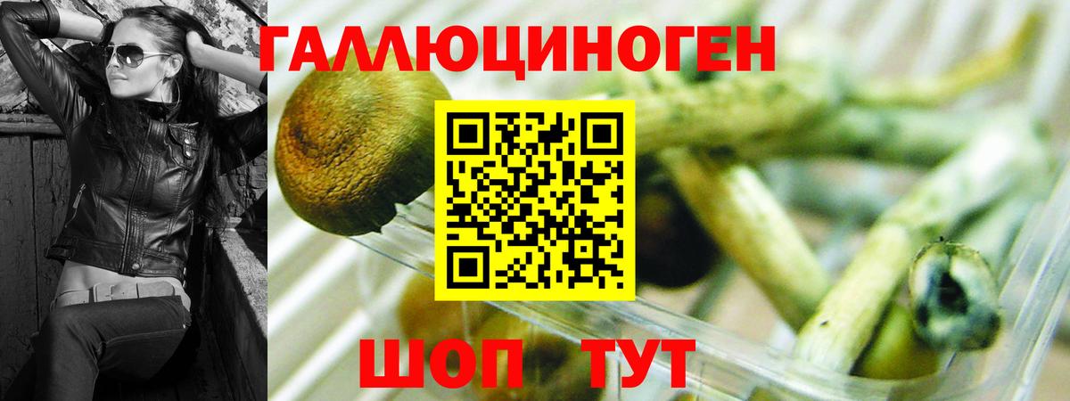 Химки  Галлюциногенные грибы Psilocybine cubensis  Вход с VPN 